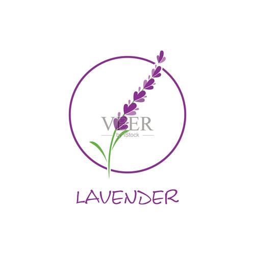 薰衣草研究所2021游戏截图