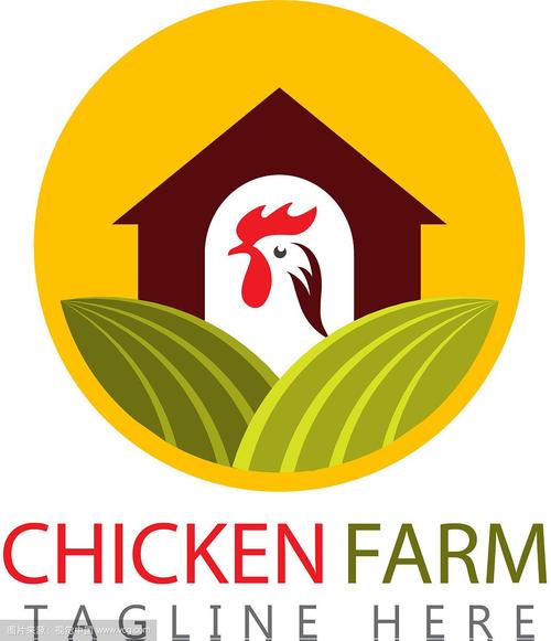 全民养鸡场游戏截图