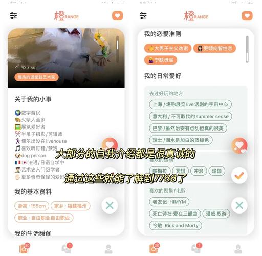 橘子网红助手官网