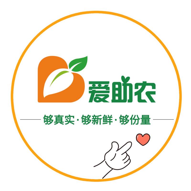 种菜收菜小能手红游戏截图