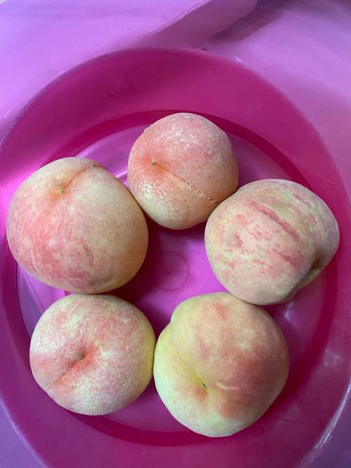 吃水果社交手机版