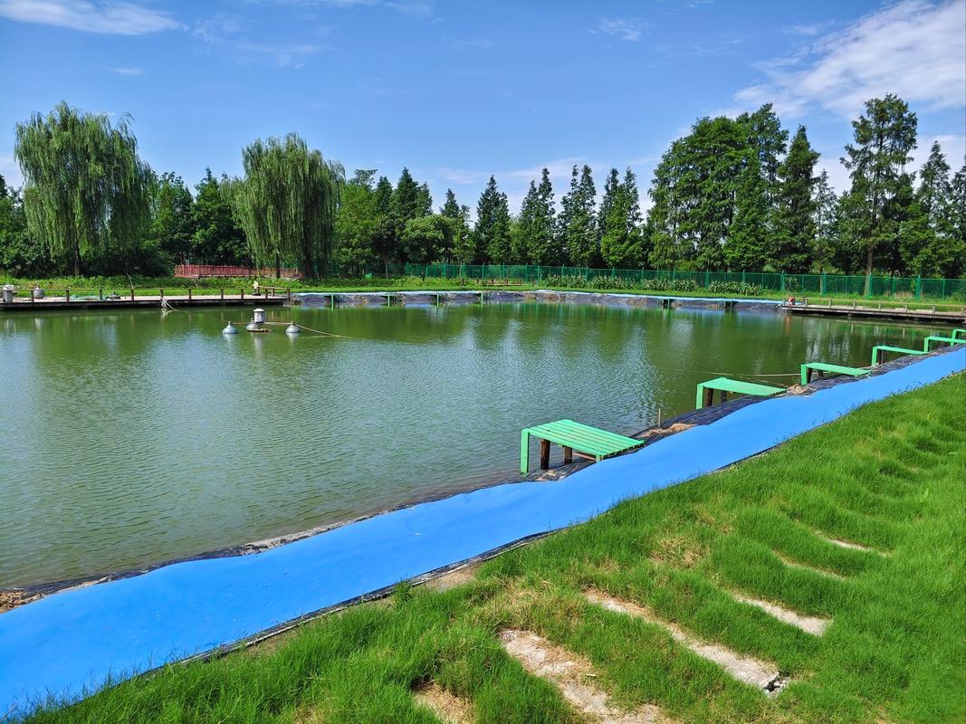 超级大鱼塘最新版