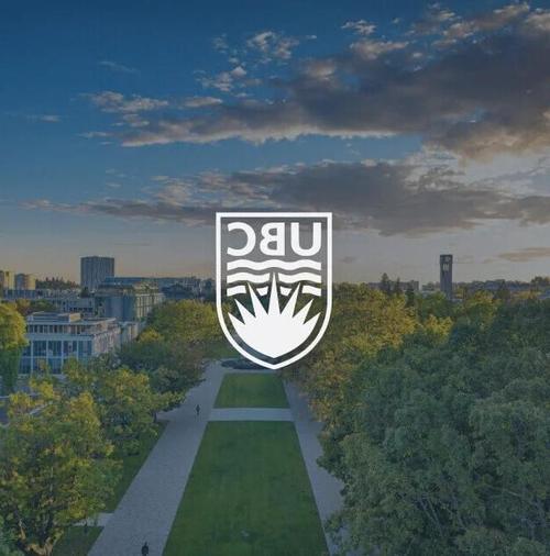 ubc步步宝游戏截图