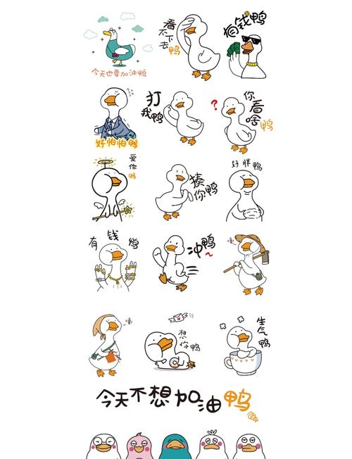 加油鸭养殖赚钱