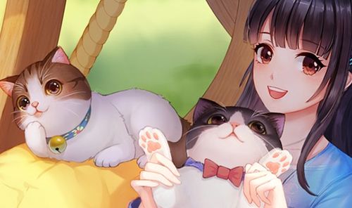 喵与筑无限星星最新破解版