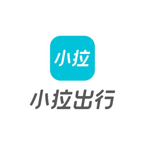 小拉出行抢单神器1.0.28版游戏截图