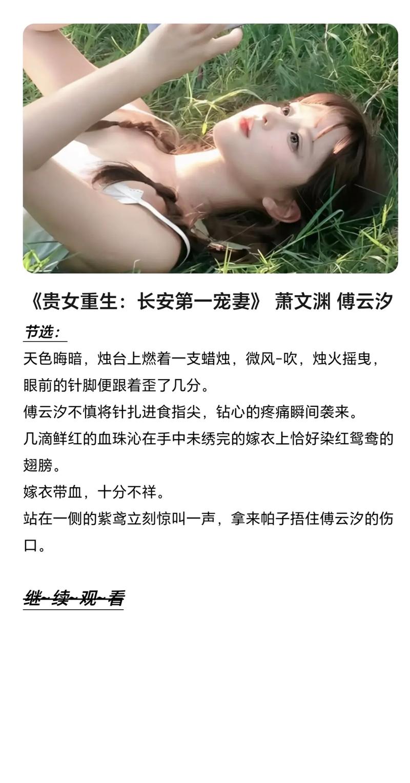 文渊小说免费版v