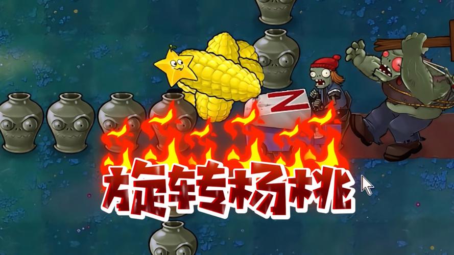 杨桃转最新安卓版