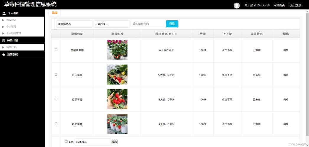 草莓基地种植赚钱