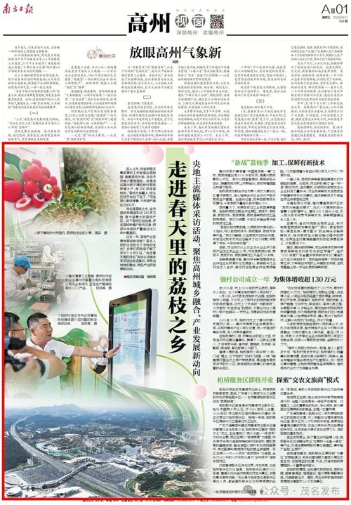 荔枝微报官网版