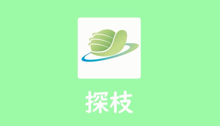 探树app游戏截图