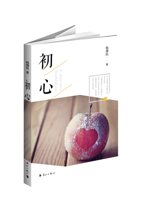 初心小说手机版游戏截图