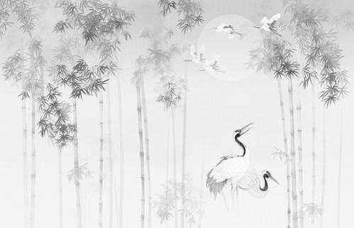 竹子分期手机版