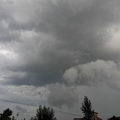 乌云转转发文章赚