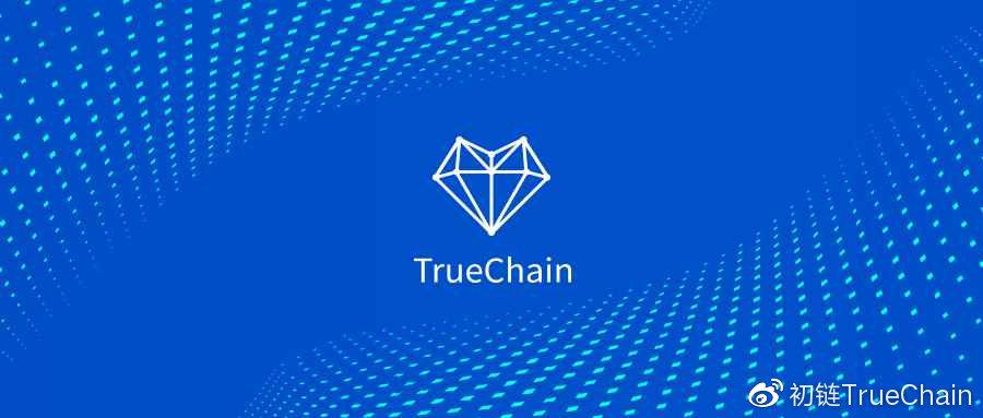 TRUE初链游戏截图