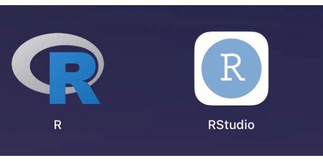 R协议视频游戏截图