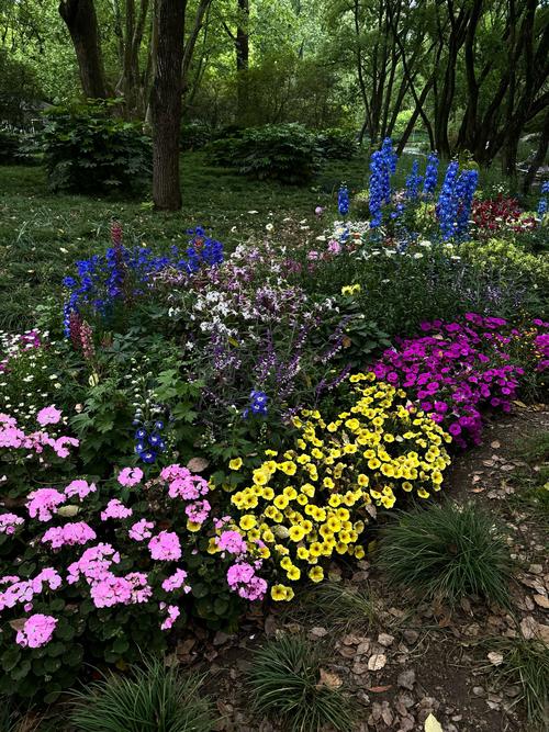 美丽花园10元可提版