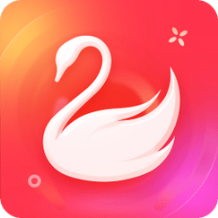 天鹅网安卓版游戏截图