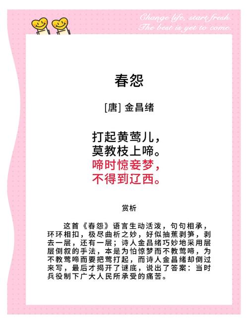 黄莺小说免费阅读