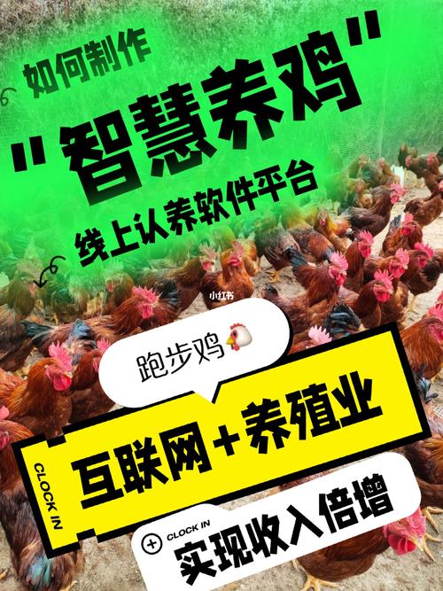 智慧养鸡赚钱领红游戏截图