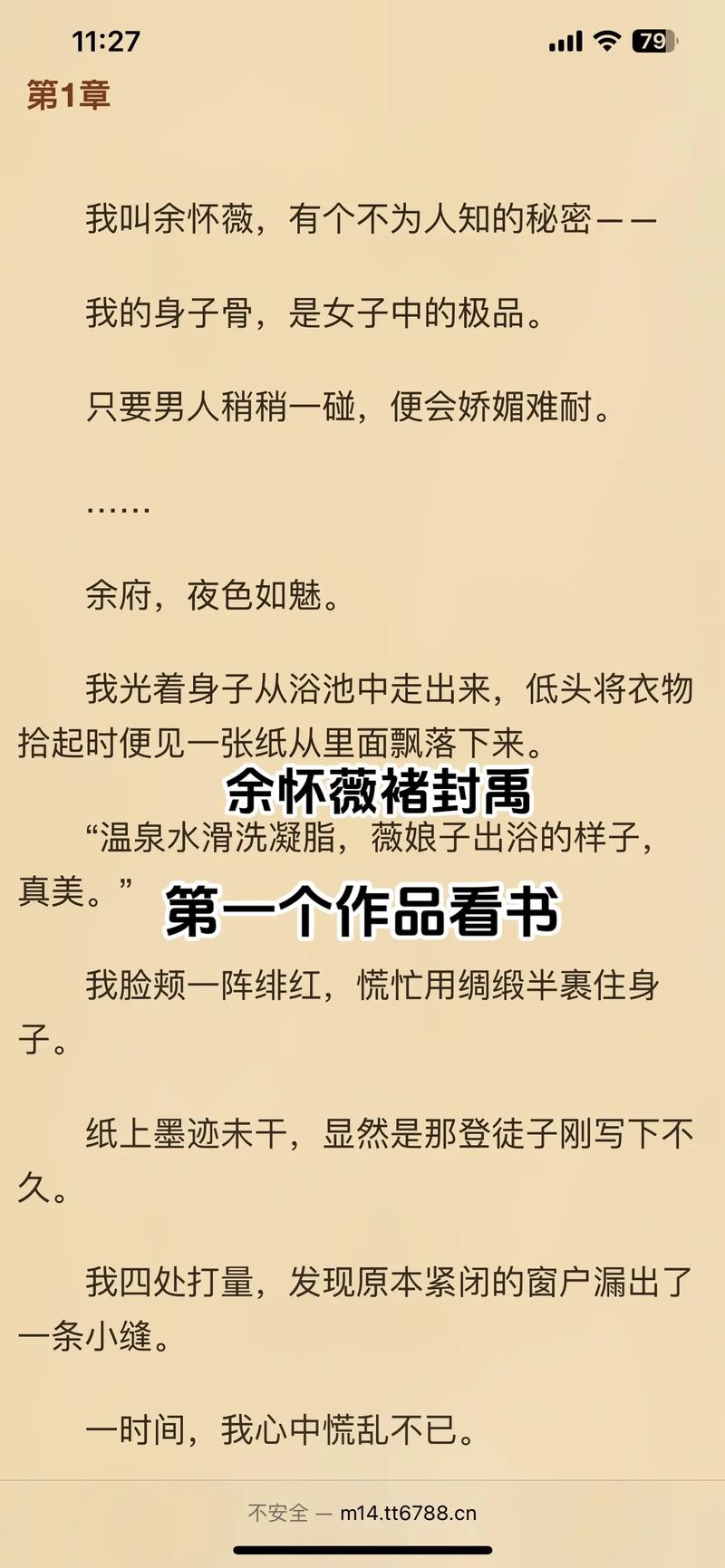 褚微小说免费阅读