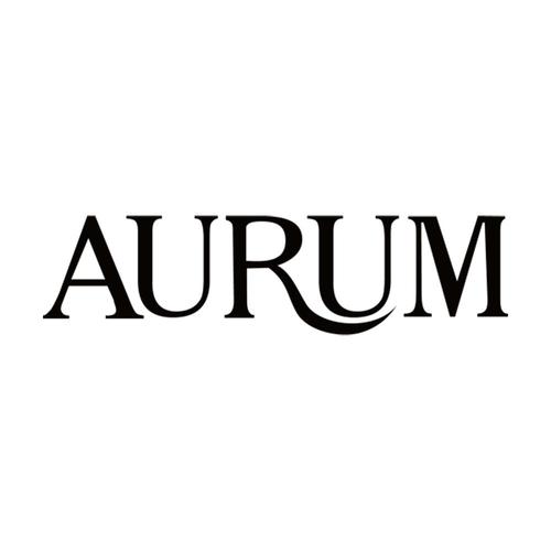 AURUM游戏截图