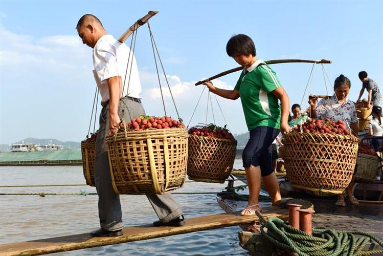 弯扁担(转发赚钱)