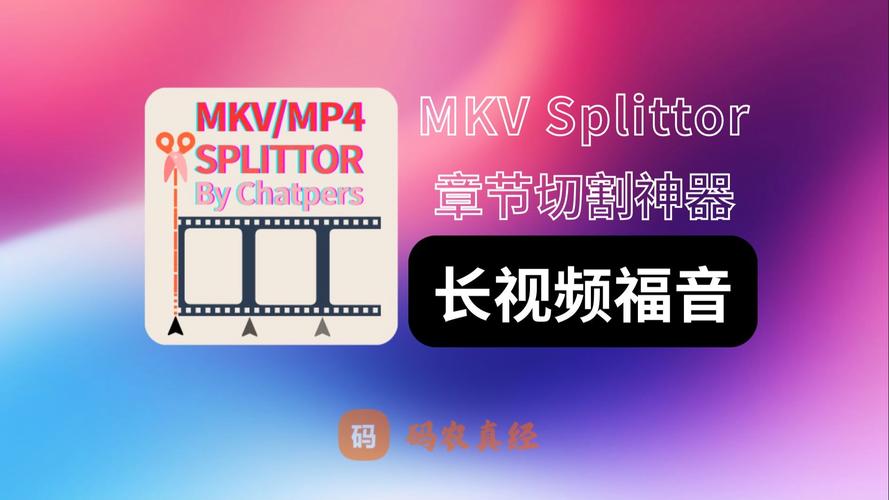 mkv解码器(CombinedCommunityCodecPack)游戏截图