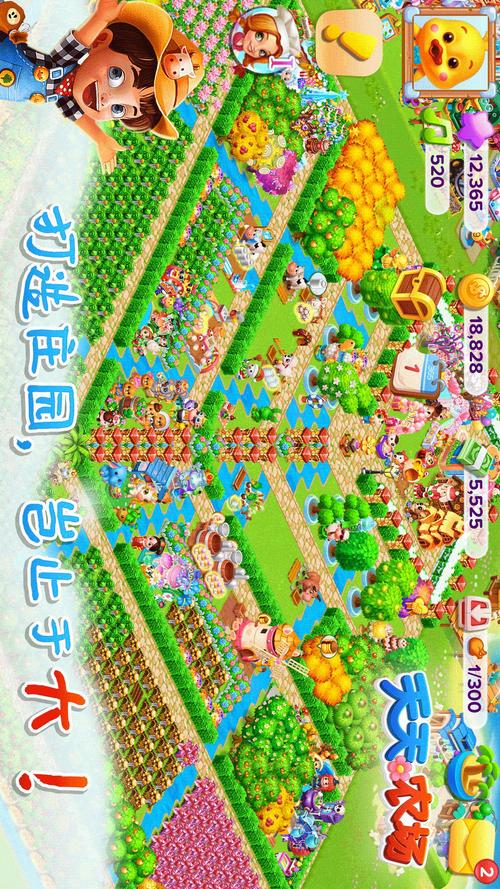 天天爱农庄安卓版