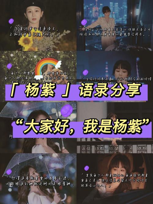 紫米免费小说在线