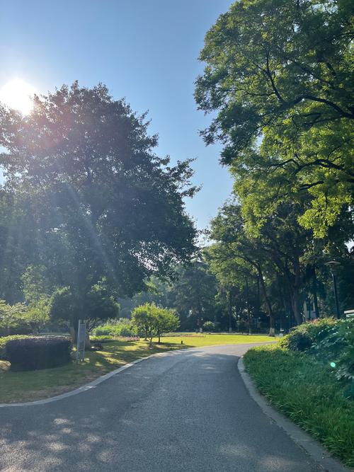 阳光晨跑手机版