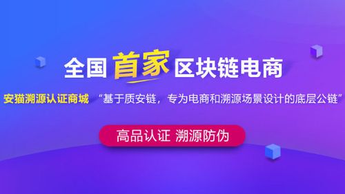 安猫QTC质链游戏截图