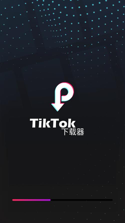TikTok手机