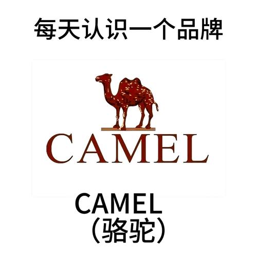 骆驼网转发平台v游戏截图