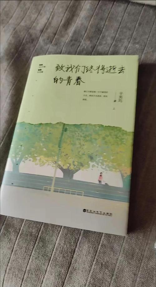 致青春小说完整版