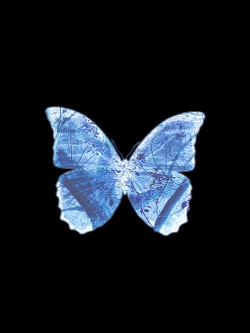 蓝蝶手机版游戏截图