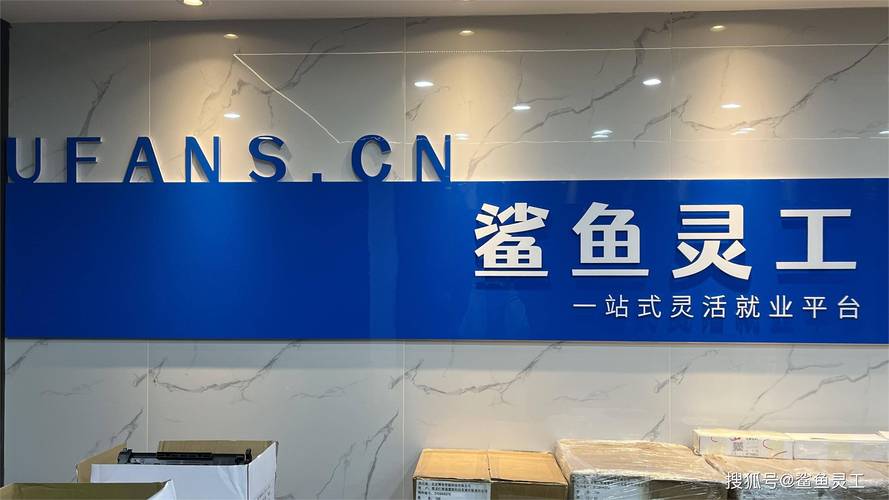 鲨鱼零工v100图标