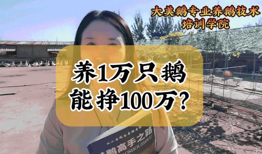 天禾庄园养鹅赚钱