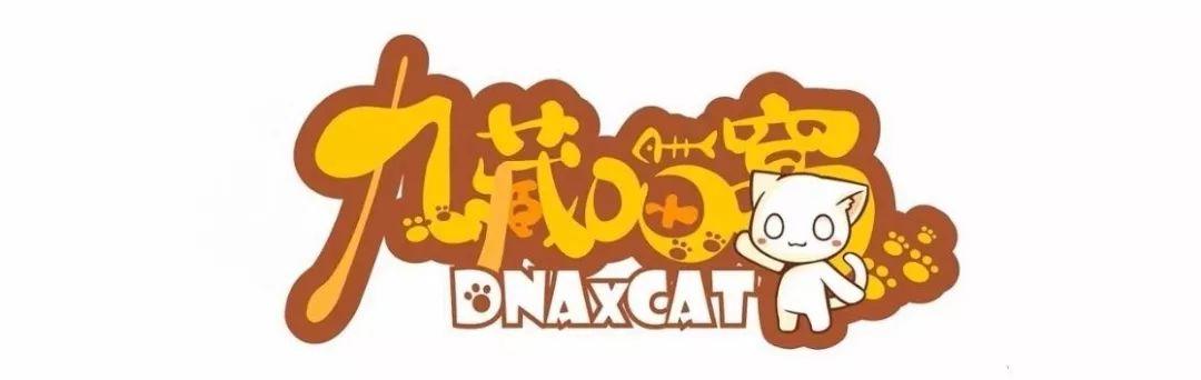 一起来吸猫游戏截图