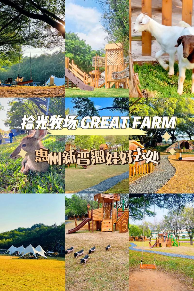 拾光农场手机版