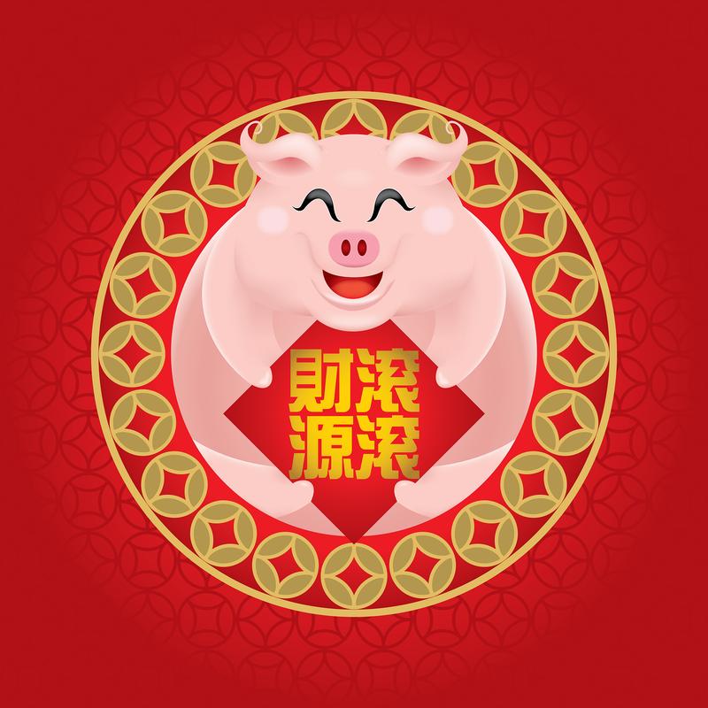 上市小猪红包版赚游戏截图