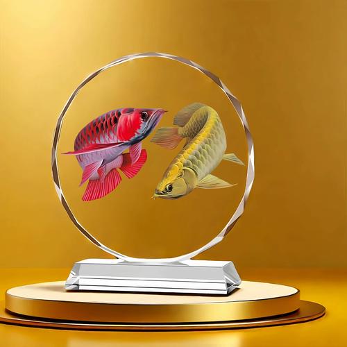 双龙鱼赚钱转发文