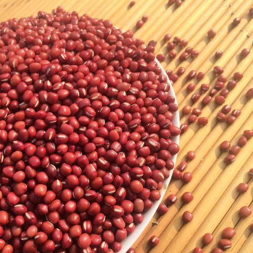 赤豆资讯正式版图标