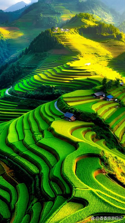 梯田阅读手机版