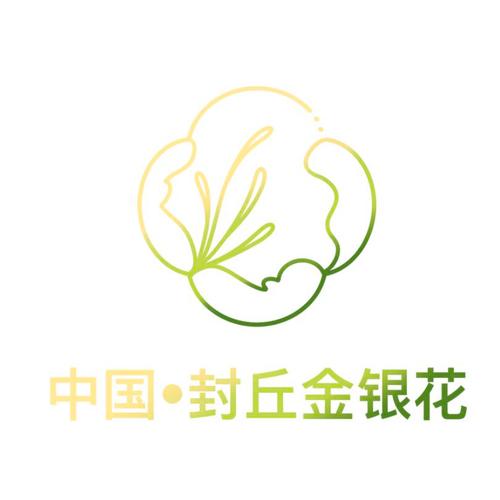 金银花兼职赚钱游戏截图