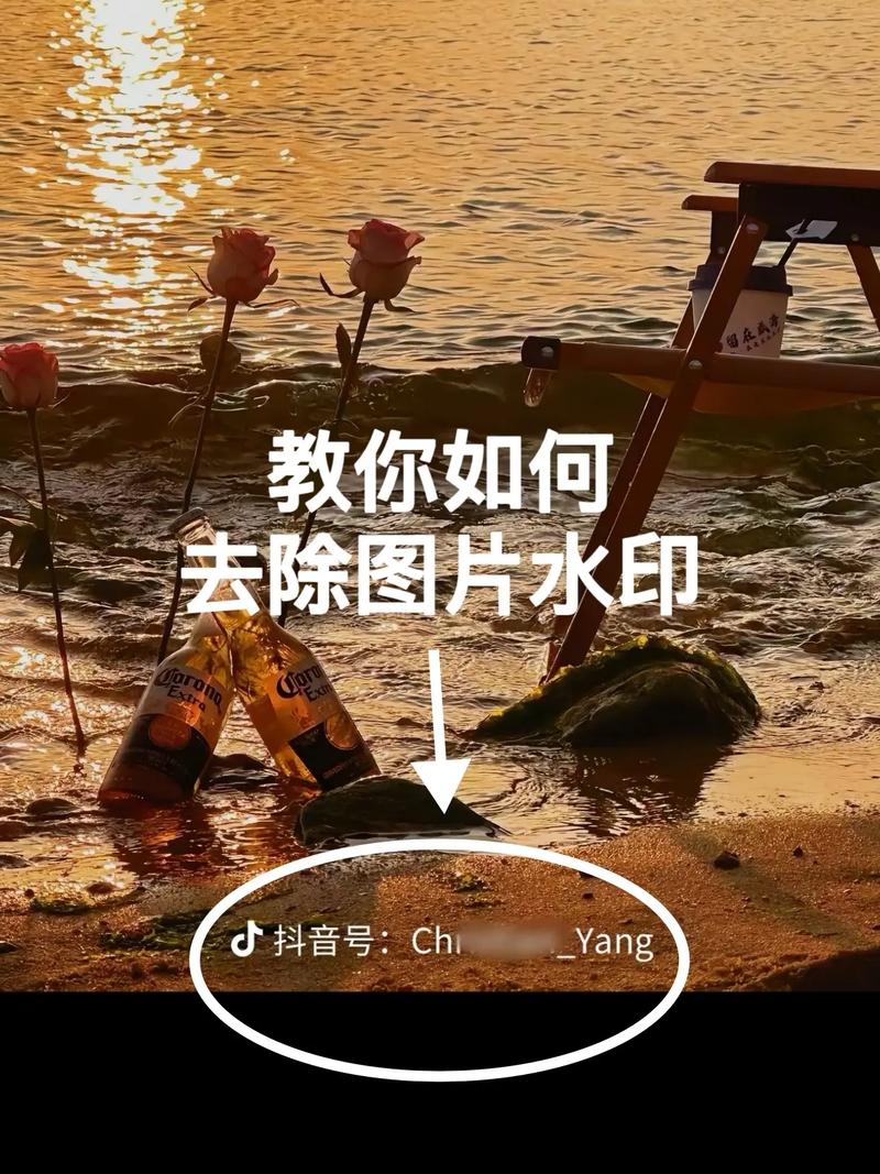 视频图片去水印宝