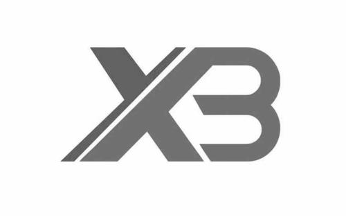 XB交易所官网版游戏截图