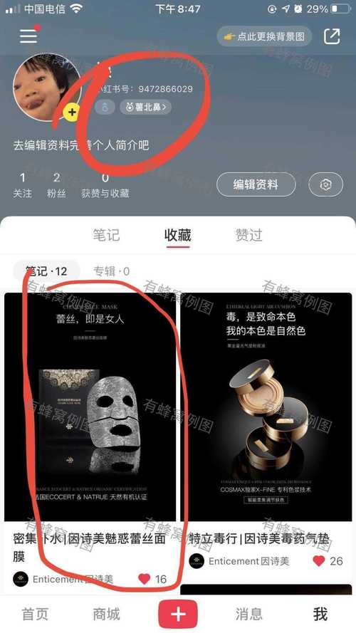 泰木谷本更新连接