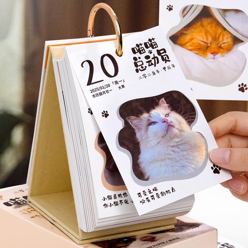 日历猫app