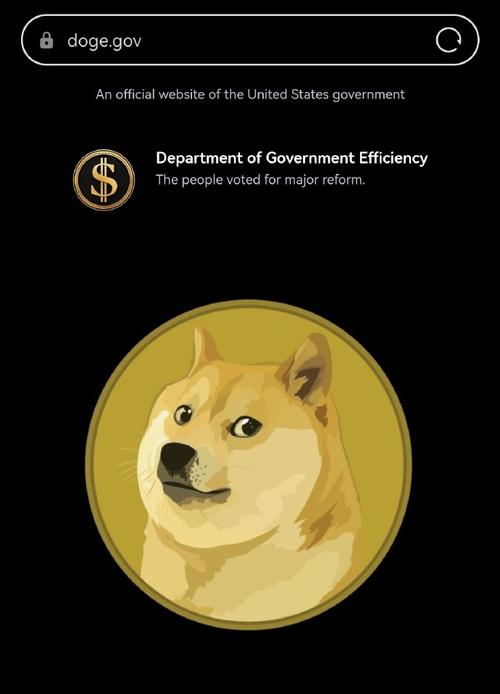 疯狂爱犬赚钱版游戏截图